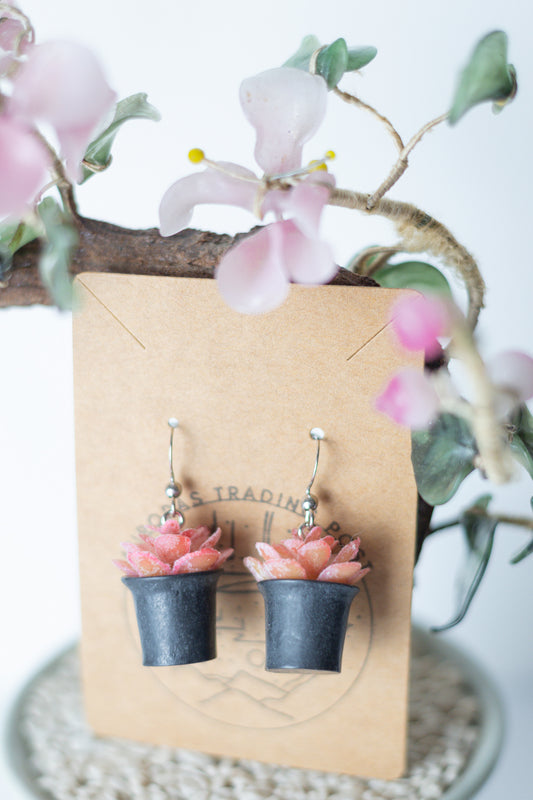 Pink Potted Fern Earrings - Auroras Trading Post